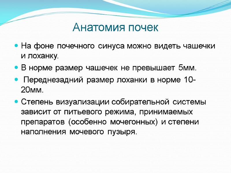 Анатомия почек На фоне почечного синуса можно видеть чашечки и лоханку.  В норме